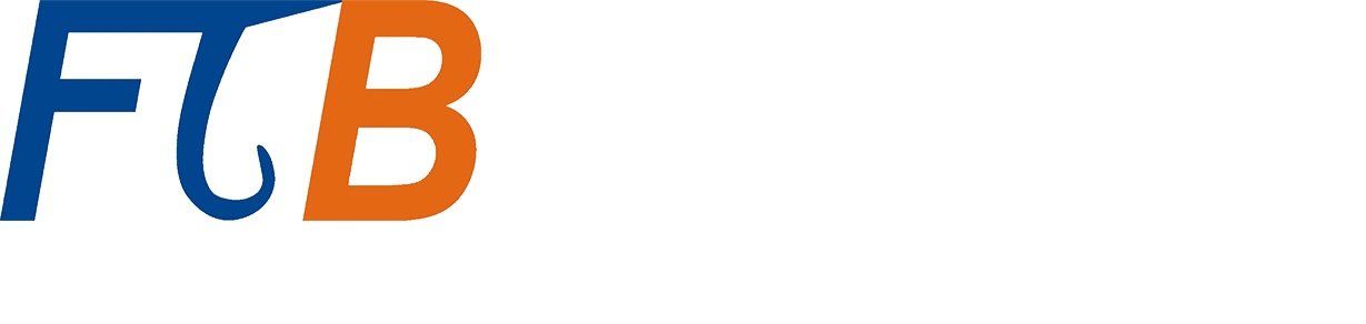 FinTechnoBridge Solutions Pvt. Ltd.